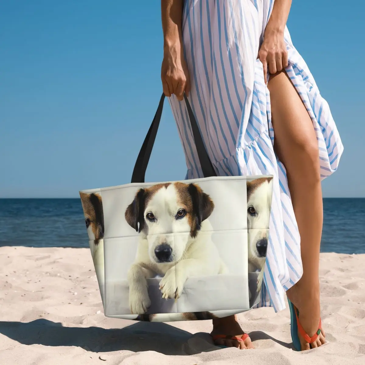 犬ジャックラッセルテリア写真ビーチトートバッグスポーツジムヨ - Yoga Fitness Photos のレビューと価格